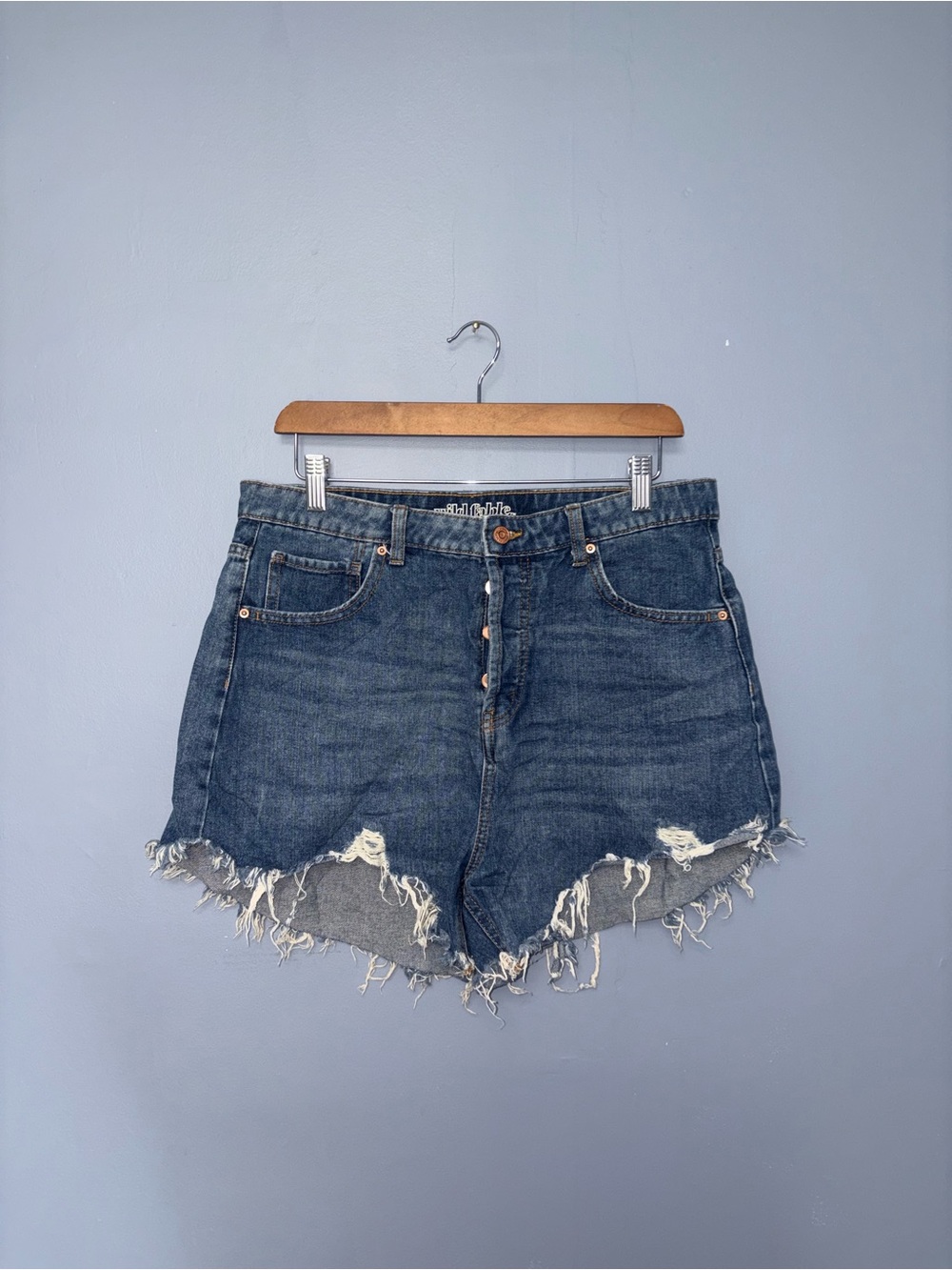 Wild Fable • Buttonfly Jean Shorts